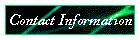 Contact Information